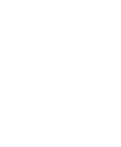 My Evault logo